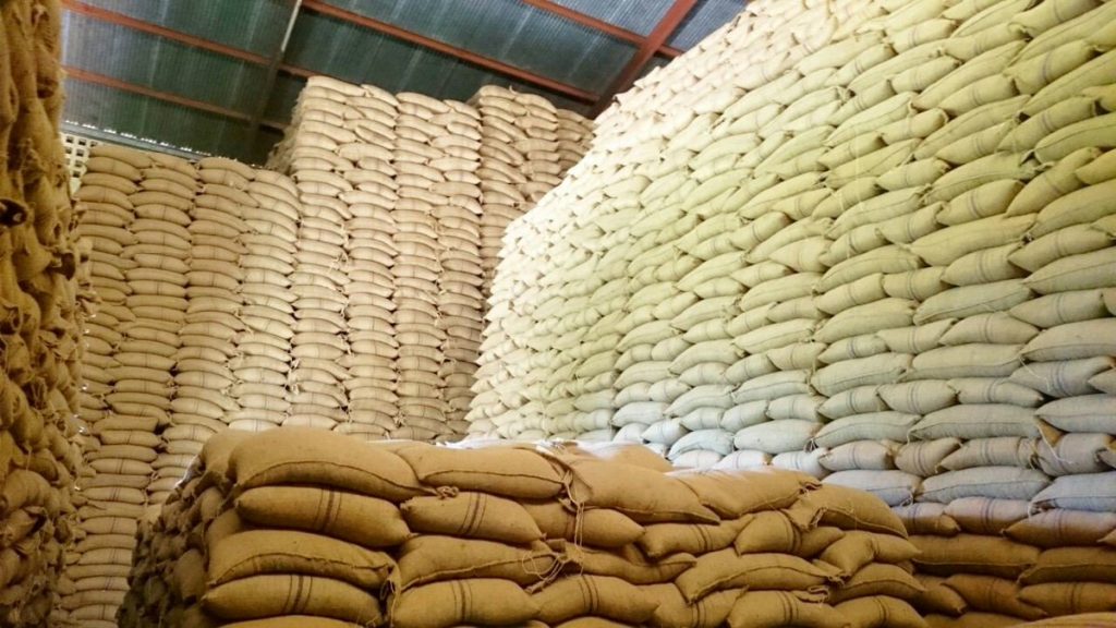 Quality Maize